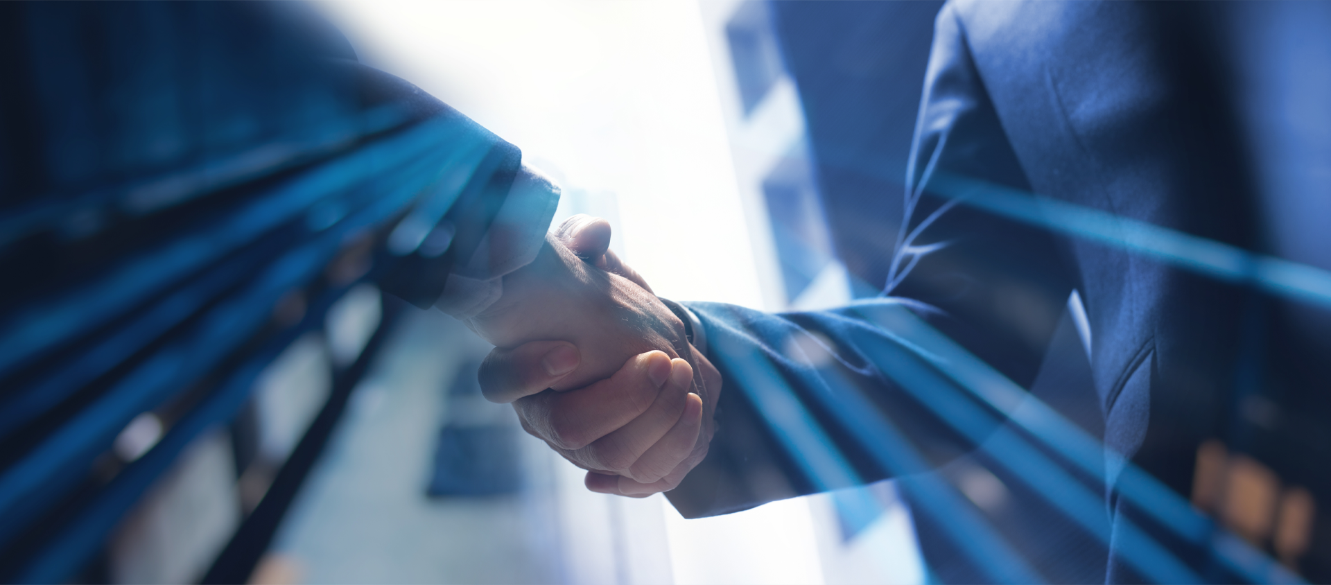 Shareholder Guide Shareholder Guide