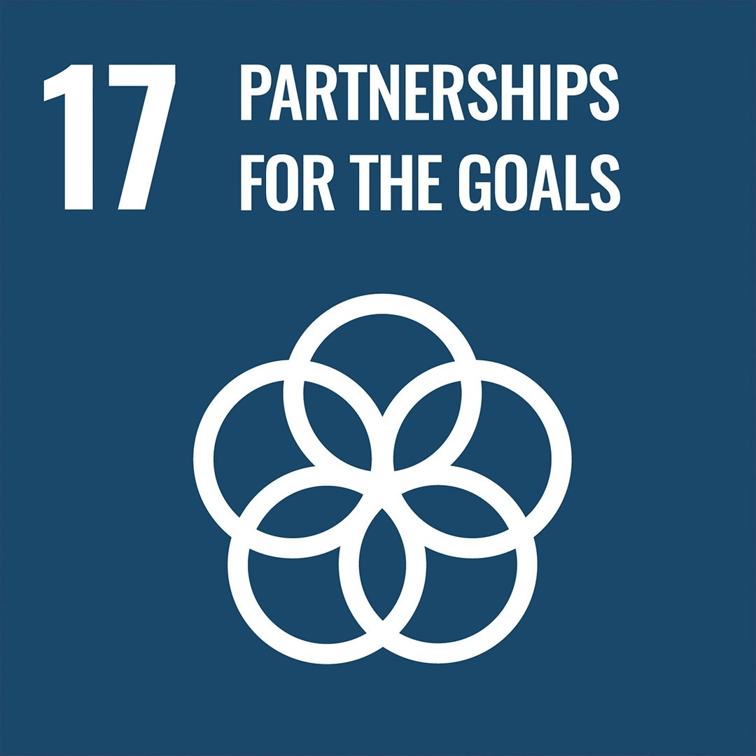 Partnerschappen voor de doelstellingen Partnerschappen voor de doelstellingen